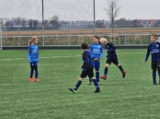 S.K.N.W.K. JO9-1 - ST FC De Westhoek '20/Z.S.C. '62 JO9-3 (competitie) 2024-2025 (3e fase) (19/100)